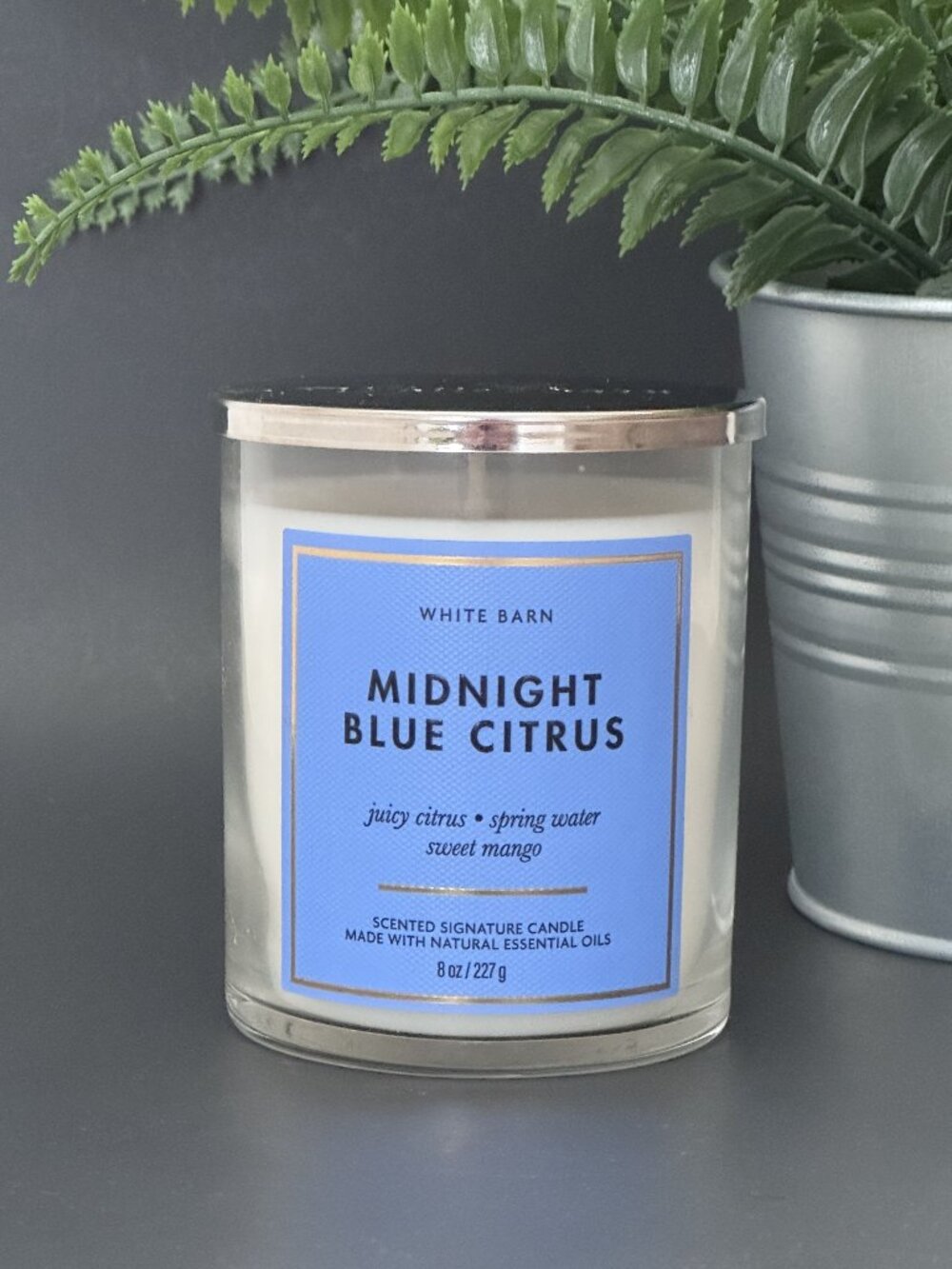 BBW Midnight Blue Citrus White Barn Bath & Body Works Single Wick Candle
